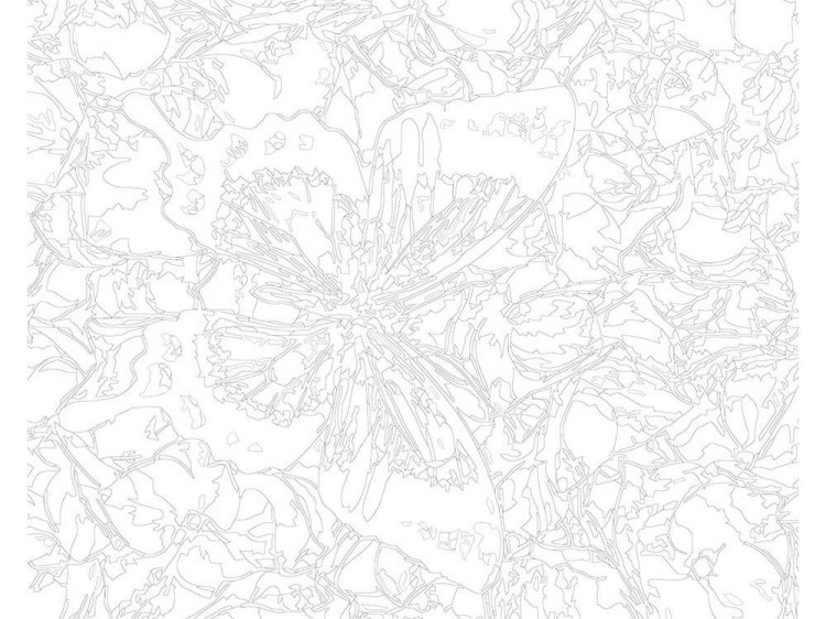 Картина по номерам «Бабочка» — картинка 3