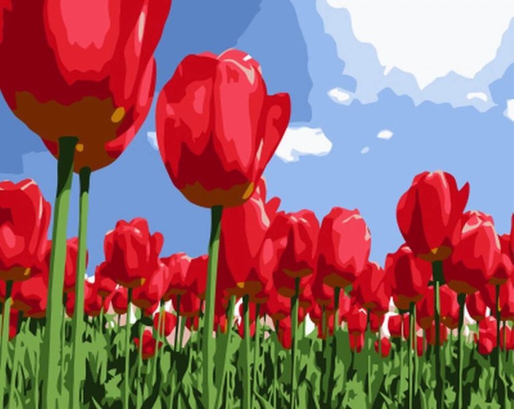 Картина по номерам «Поле тюльпанов»