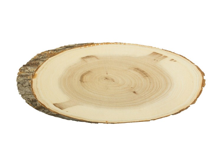 Срез дерева косой СРЕЗ-08, 25х45 см, 1 шт., Blumentag