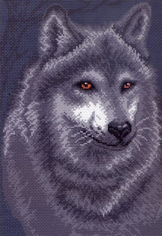 Рисунок на канве «Волк»
