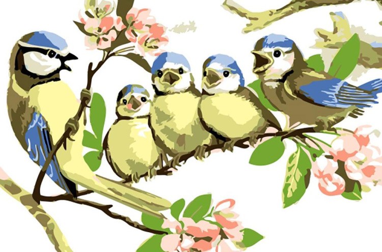 Картина по номерам «Пойте, птички, пойте!»