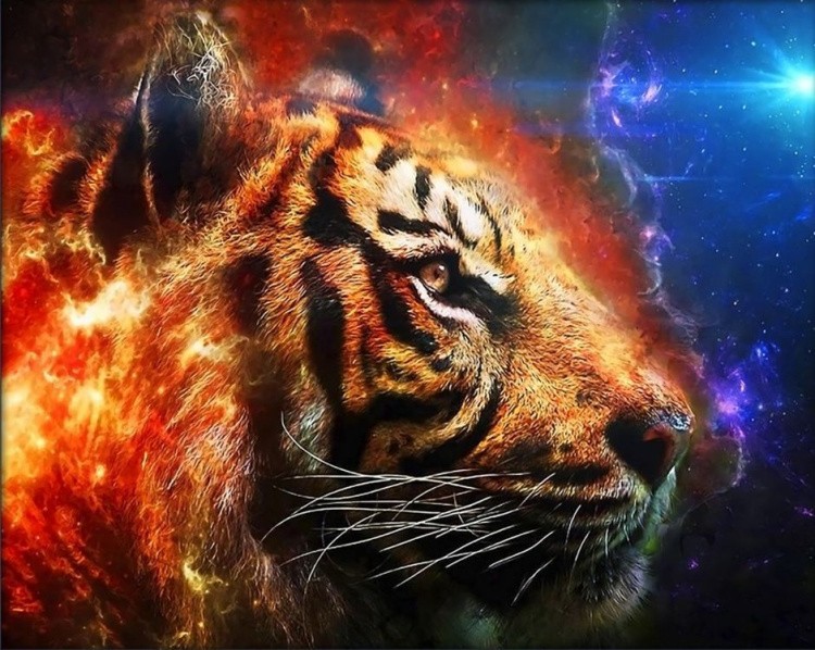 Алмазная вышивка «Космический тигр»