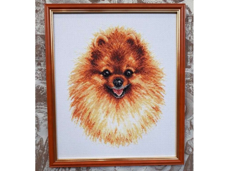 Набор для вышивания «Померанский шпиц» — картинка 2