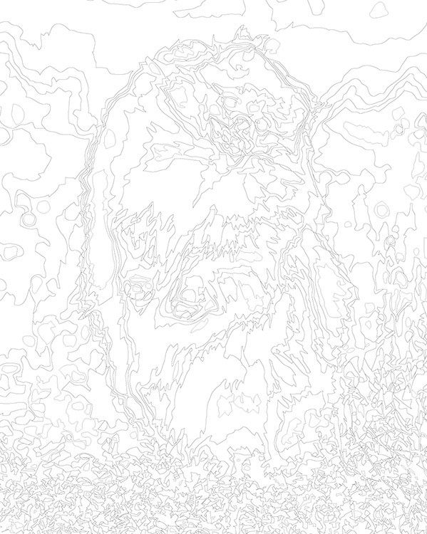 Картина по номерам «Собаки: Шпиц на зеленом лугу 40х50» — картинка 3