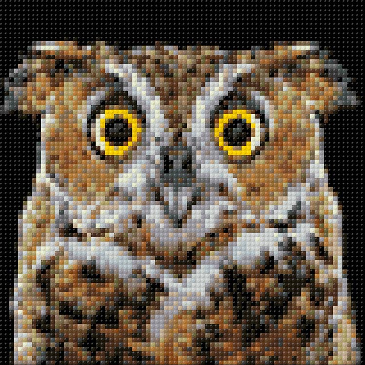 Алмазная вышивка «Любопытная сова» — картинка 2