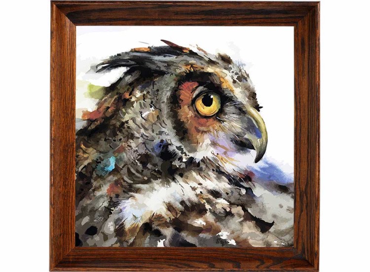 Открытка по номерам «Мудрая сова» — картинка 2