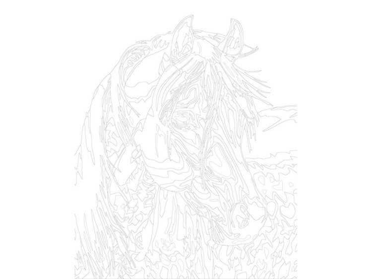 Картина по номерам «Белый конь» — картинка 3