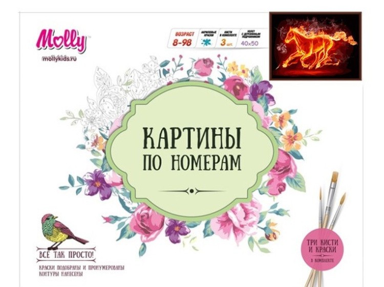 Картина по номерам «Огненный» — картинка 2