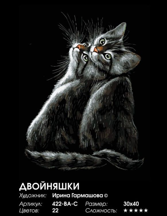 Картина по номерам «Двойняшки» — картинка 2