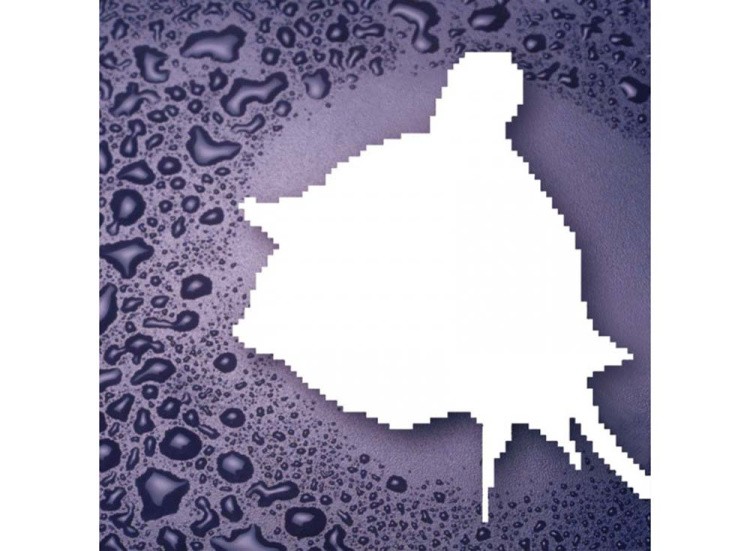 Алмазная вышивка «Красная роза» — картинка 2