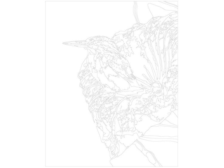 Картина по номерам «Птица на цветке» — картинка 3