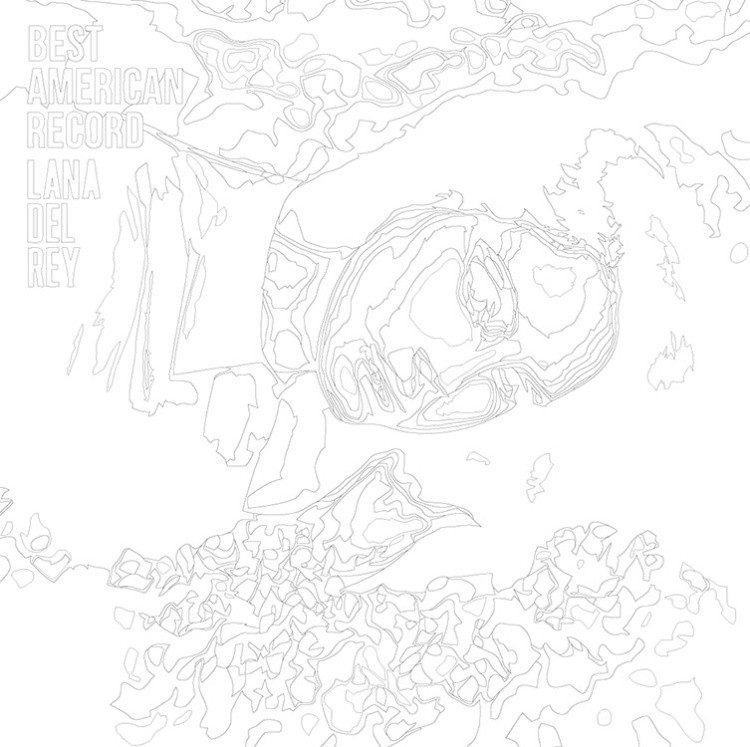 Картина по номерам «Lana Del Rey Лана Дель Рей: обложка» — картинка 3