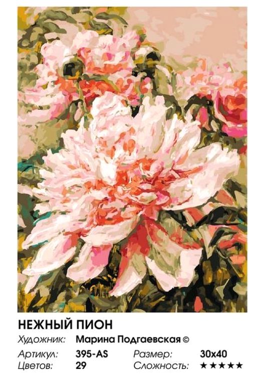 Картина по номерам «Нежный пион» — картинка 2
