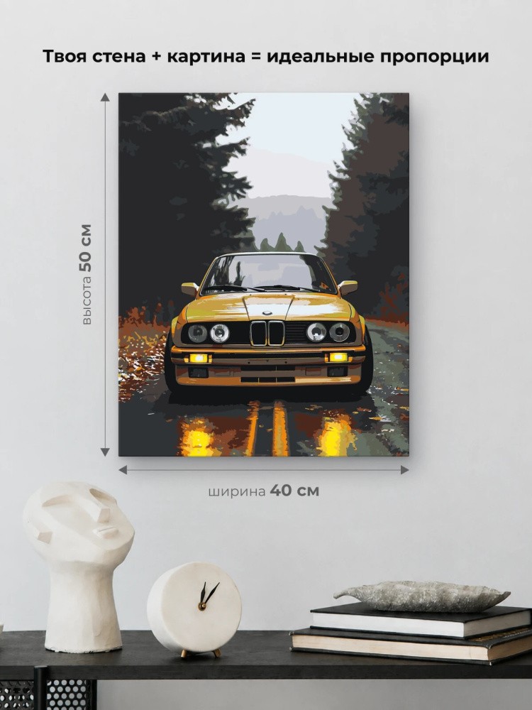 Картина по номерам «Машина BMW на дороге в лесу 40х50» — картинка 3
