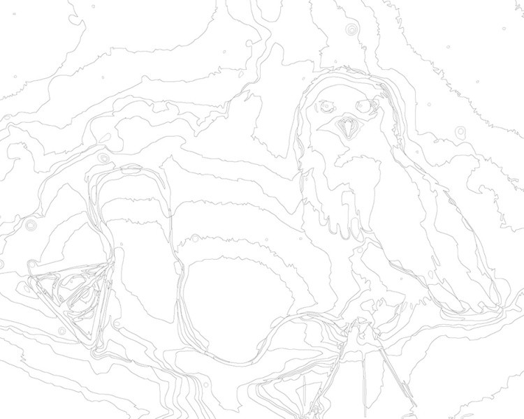 Картина по номерам «Гарри Поттер: Дары смерти и сова Букля» — картинка 3