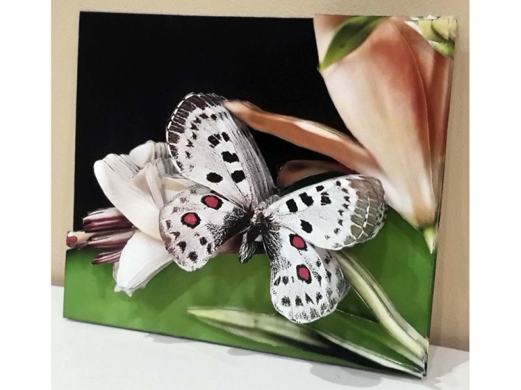 Папертоль «Бабочка на цветке» — картинка 3