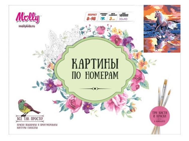 Картина по номерам «Бегущая по волнам» — картинка 2