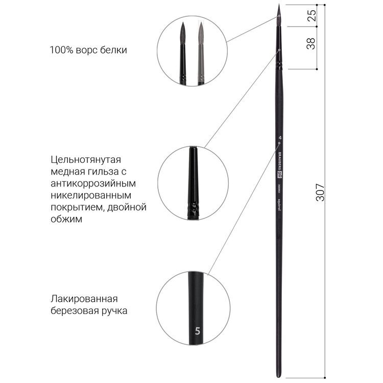 Кисть художественная профессиональная Art Classic, белка, круглая, № 5, длинная ручка, Brauberg — картинка 4