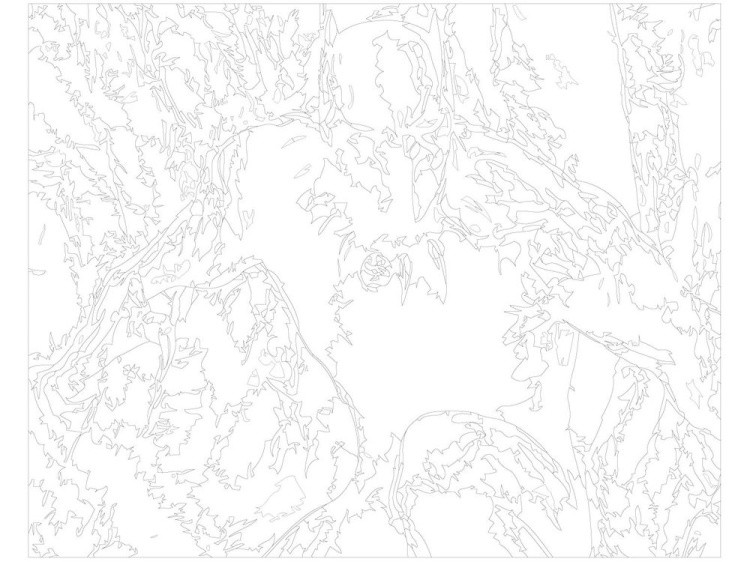 Картина по номерам «Чёрная Пантера 2» — картинка 3