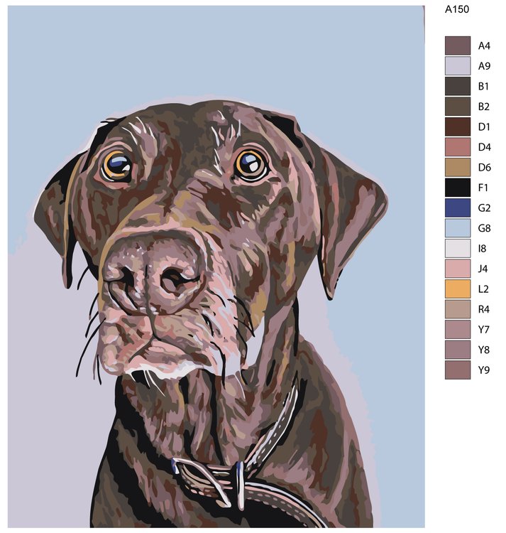 Картина по номерам «Джаспер» — картинка 2