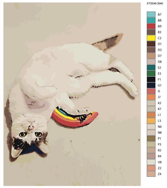 Картина по номерам «Кошка на полу» — картинка 2