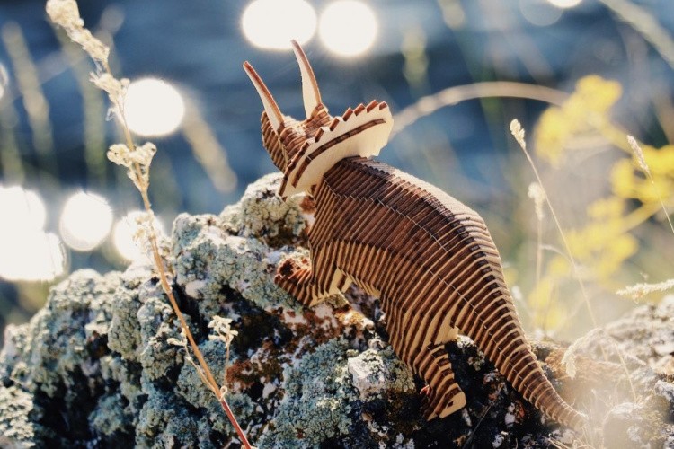 Конструктор из дерева «Трицератопс с набором карандашей», UNIWOOD — картинка 4