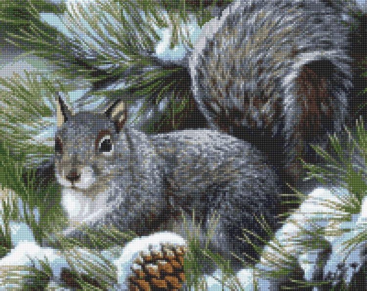 Алмазная вышивка «Бельчонок на ели» — картинка 2