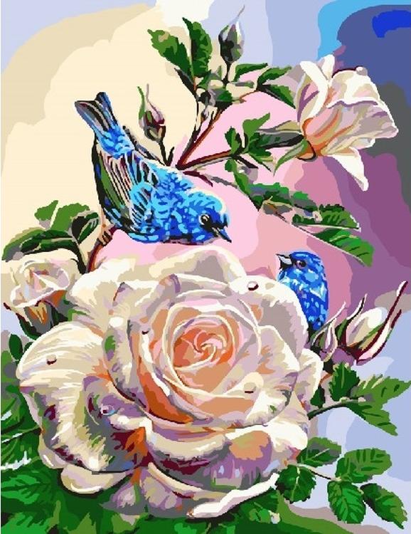 Картина по номерам «Птицы на розах»