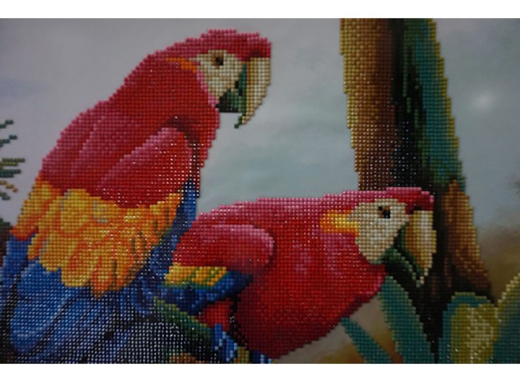 Алмазная вышивка «Цветные попугаи» — картинка 4