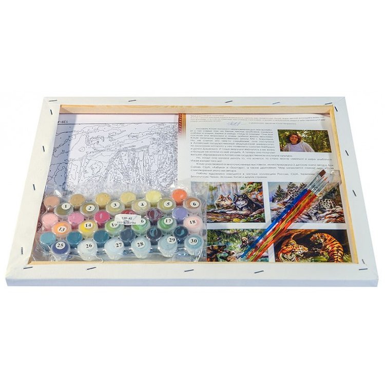 Картина по номерам «Ромашковое утро» — картинка 3