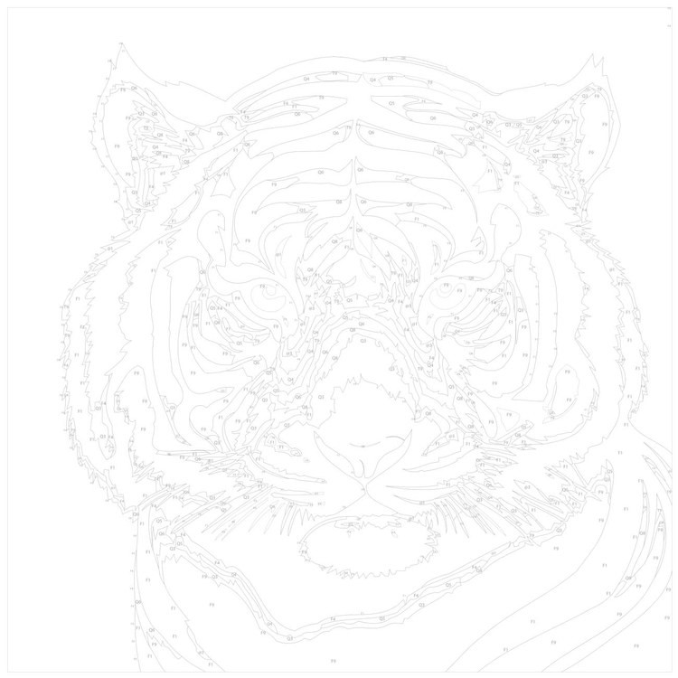 Картина по номерам «Черно-белый тигр» — картинка 3