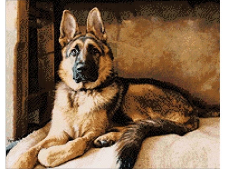 Алмазная вышивка «Овчарка» — картинка 2