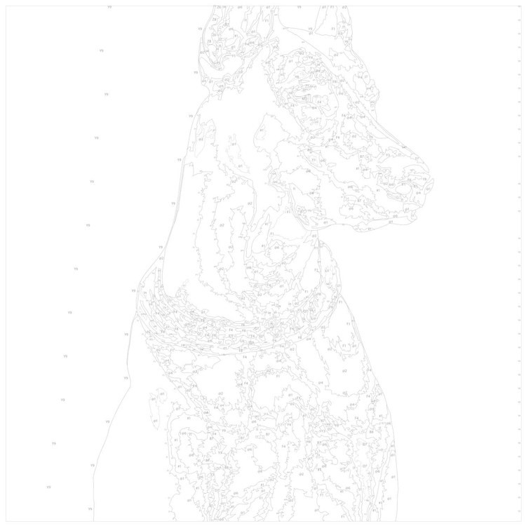 Картина по номерам «Важный доберман» — картинка 3