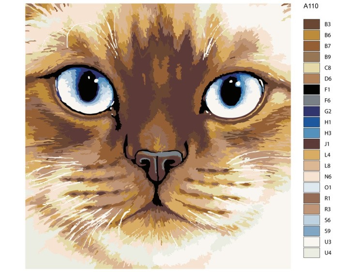 Картина по номерам «Сиамская кошка» — картинка 2