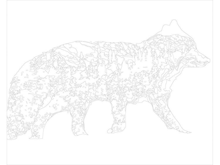 Картина по номерам «Северный лис» — картинка 3