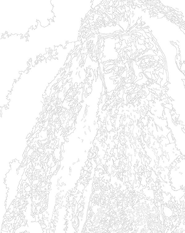 Картина по номерам «Хагрид чернобелая монохром, Гарри Поттер» — картинка 3