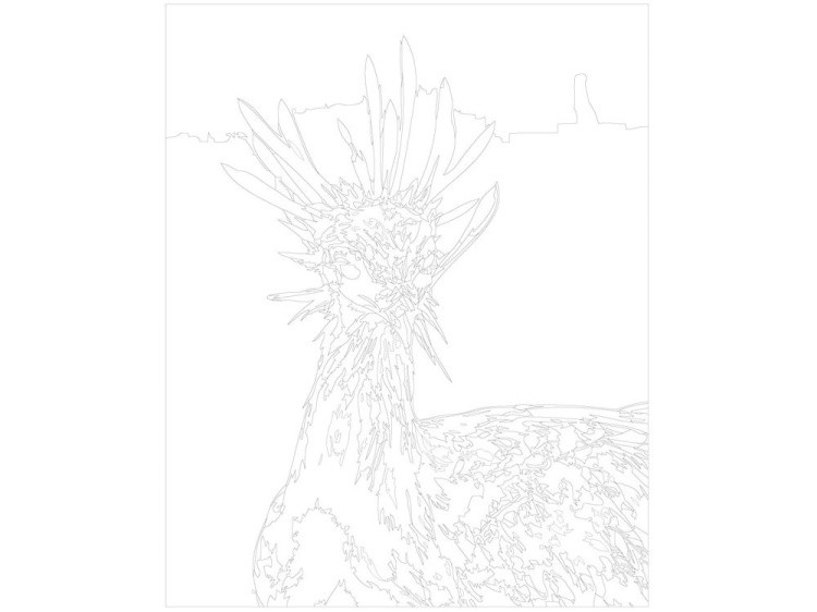 Картина по номерам «Диковинная птица» — картинка 3