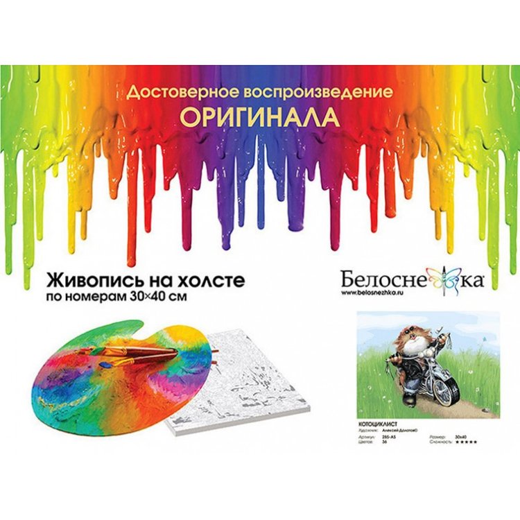 Картина по номерам «Котоциклист» — картинка 4