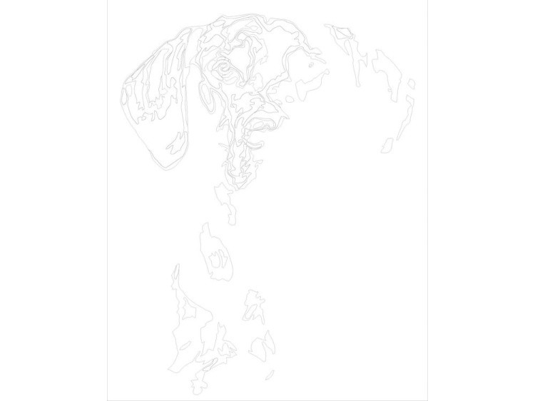 Картина по номерам «Чёрно-белый пёс» — картинка 3