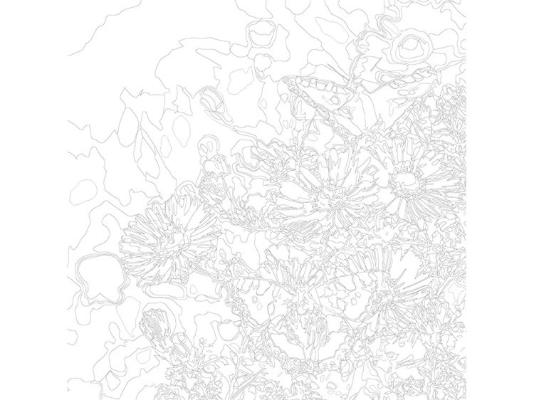 Картина по номерам «Бабочки на лугу» — картинка 3