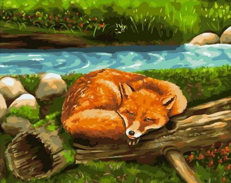 Картина по номерам «Спящая лиса»