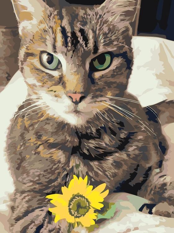 Картина по номерам «Кот с цветком»