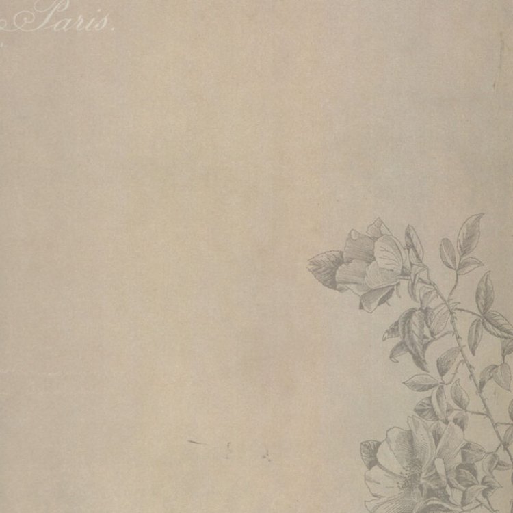 Набор бумаги для скрапбукинга «Муаровый мираж» 30,5x30,5 см — картинка 8