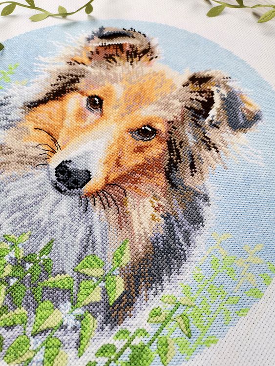 Набор для вышивания «Шелти» — картинка 2