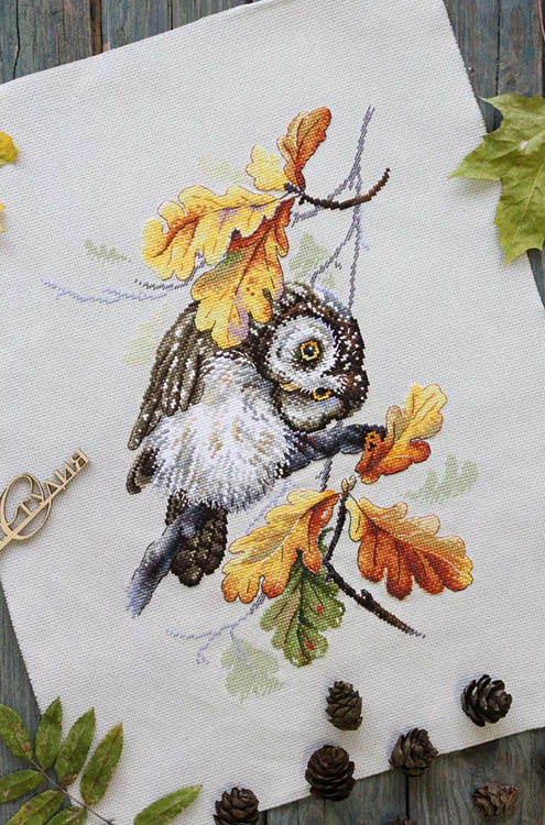 Набор для вышивания «Совиный взгляд» — картинка 4