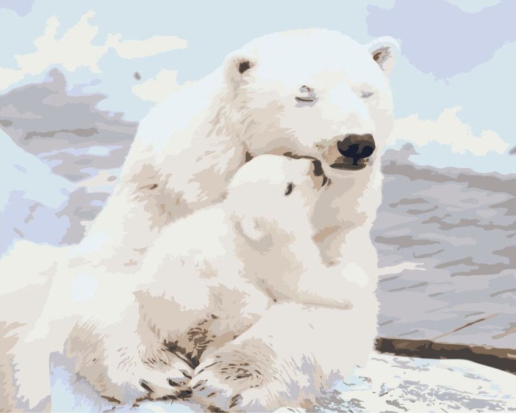 Картина по номерам «Белые медведи»