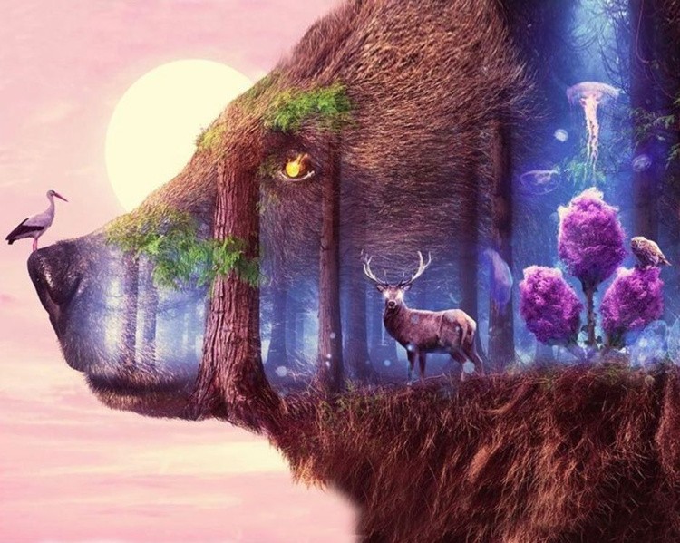 Алмазная вышивка «Иллюзия» — картинка 2