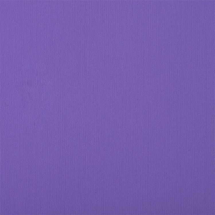 Ткань трикотажная Бифлекс матовый, 6 м, ширина 150 см, 190 г/м², цвет: 5003 лиловый, TBY — картинка 3
