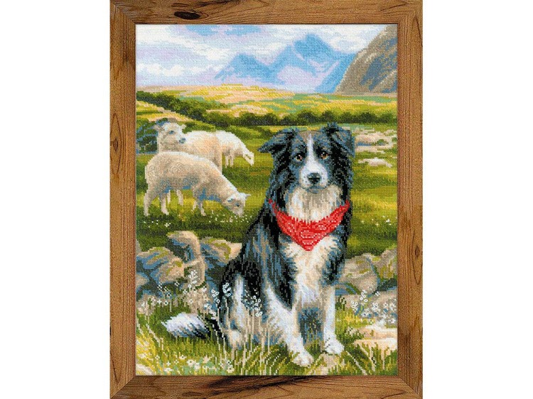 Набор для вышивания «Бордер-колли» — картинка 2