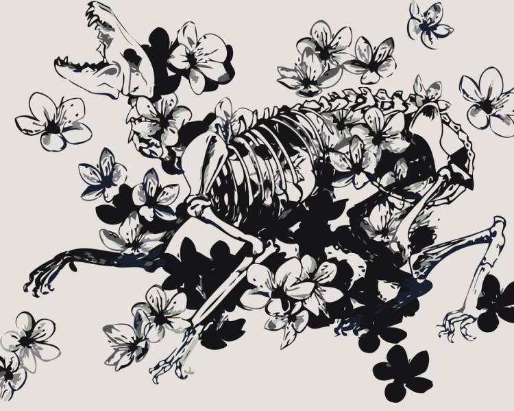 Картина по номерам «Скелет в цветах»